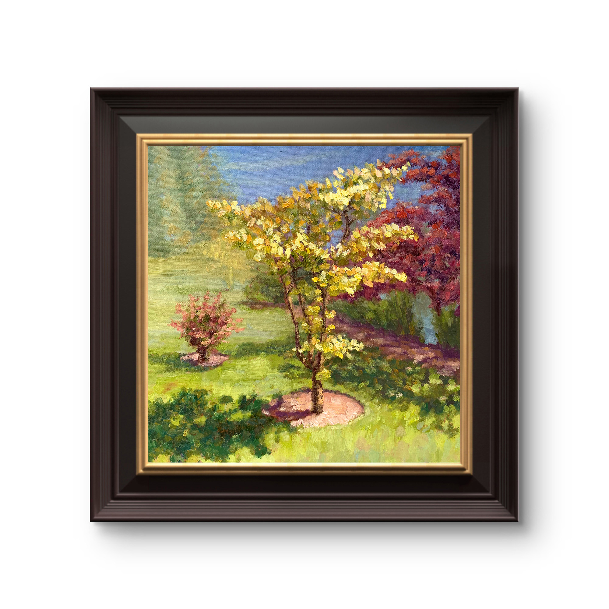 Bathed Sunshine — Dallas Deng oil painting, framed view, light and calm.