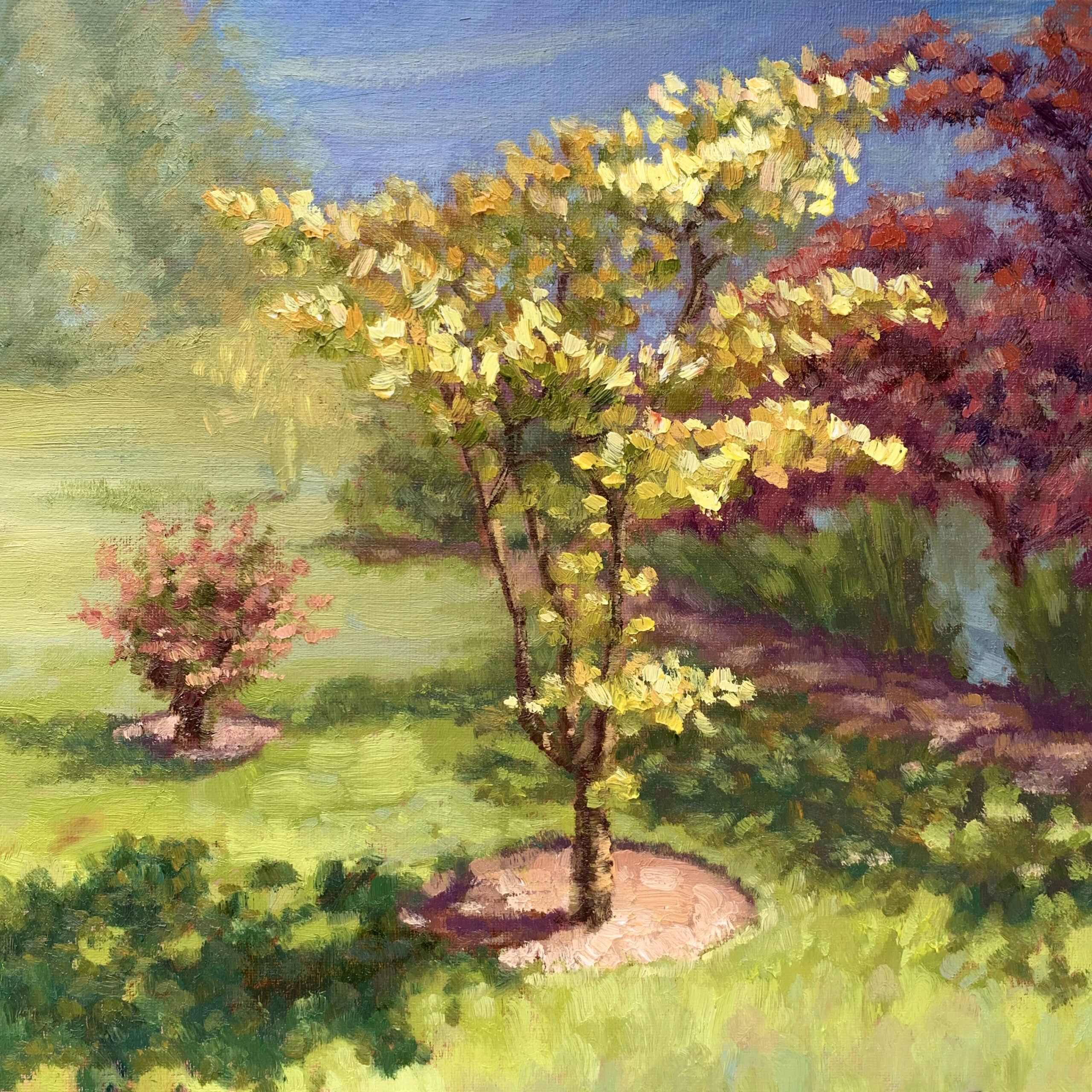 Bathed Sunshine 1 — Dallas Deng landscape oil painting, light and calm.