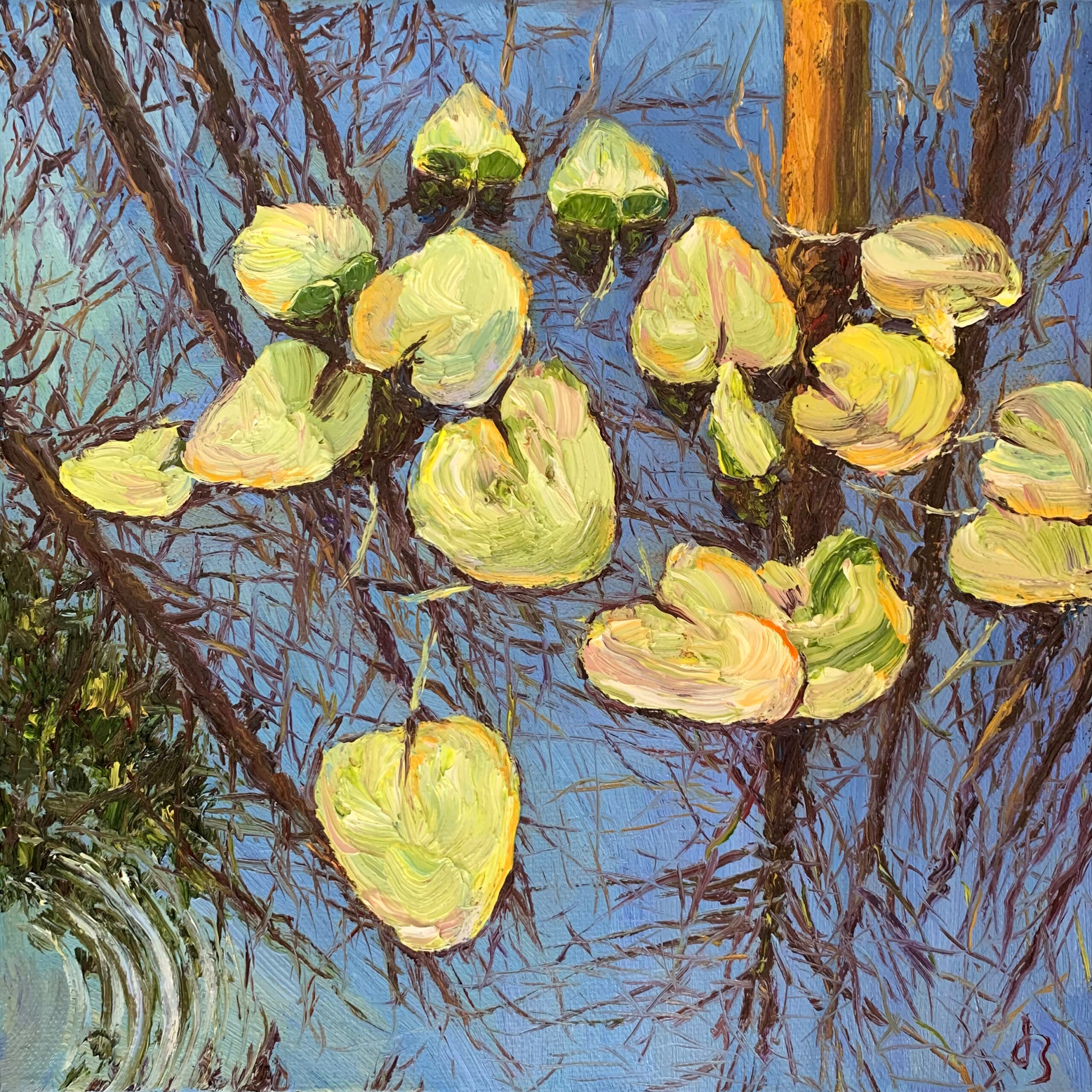 Reflection — Dallas Deng landscape oil painting, light and calm.