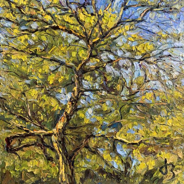 Relaxing — Dallas Deng landscape oil painting, light and calm.